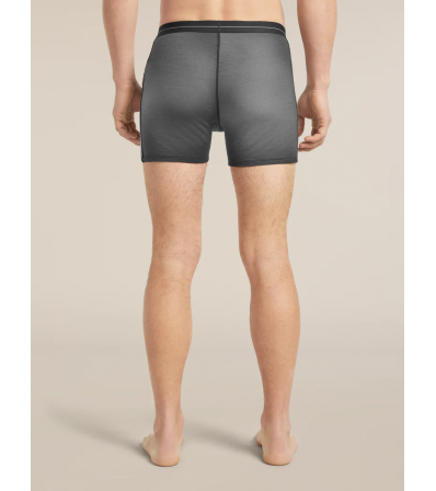 Боксерки Icebreaker Merino 150 Anatomica Boxers Transitions