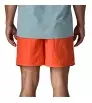 Шорти Patagonia Baggies 5